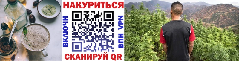 Купить где  Карасук  Canna-Cookies марихуана 