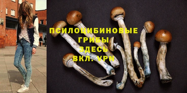 первитин Сатка